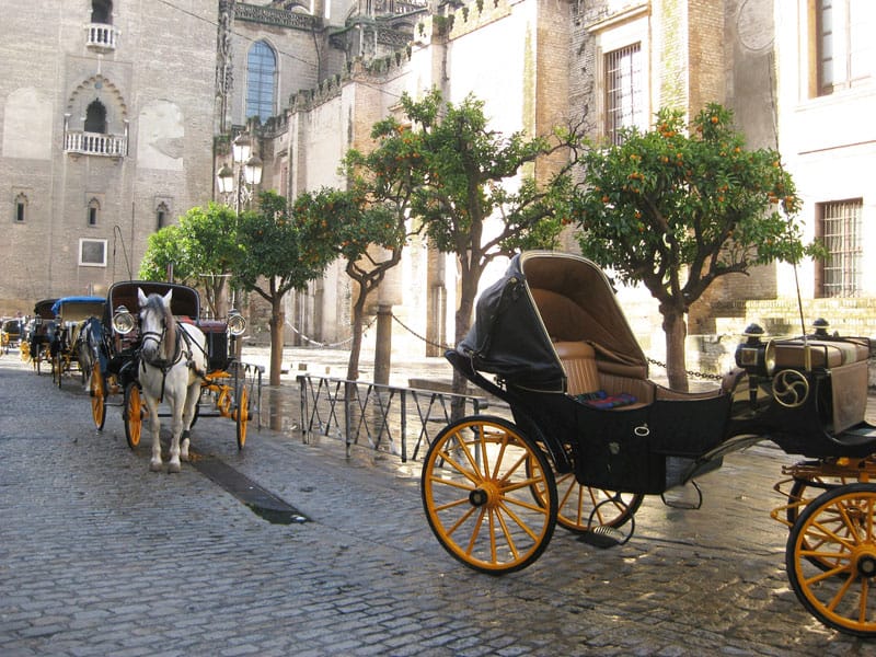 Seville: The Artistic and Cultural Capital of Southern Spain 4 Horse and carriage in the Plaza Virgen de los Reyes