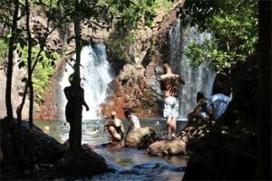 Cooling off at Darwin's swimming hole.