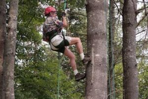 Vermont's Northeast Kingdom: Climbing, Biking, Farming tree-climbing