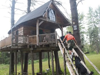 Allan Manning's treehouse that he rents out to guests.