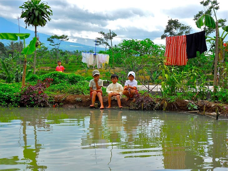 Village Cianjur, West Java Indonesia. photos by Zoe Smith.