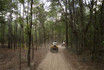 An ATV in the vast park.