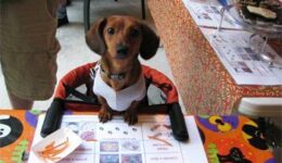 max-at-table