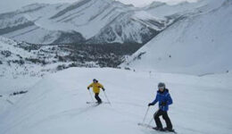 Alberta Skiers