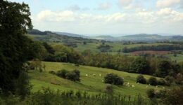 countryside in Surrey, England.