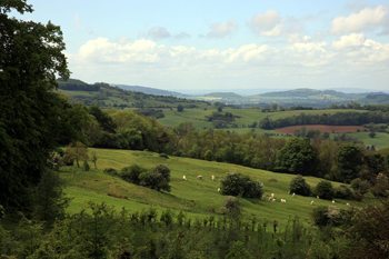 countryside in Surrey, England.