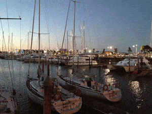 Viaduct Harbor, Auckland New Zealand. photos by Connie Westergaard.