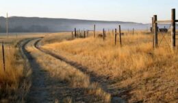 A country lane in Virgelle, Montana. photos by Laurie Gough.