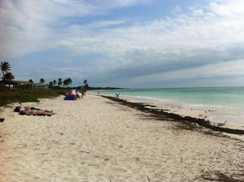 Key Largo Houseboating 3 The pretty and deserted beach at Bahiahonda, Florida.