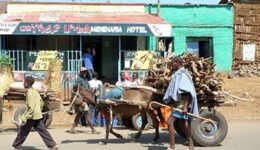 ethiopia-cart