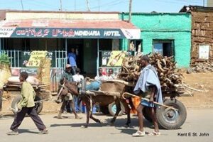 Northern Ethiopia Photo Gallery ethiopia-cart