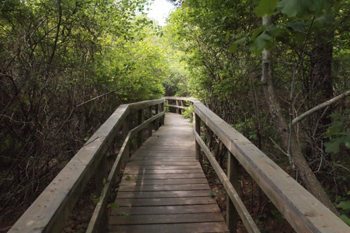 farm pond preserve walkway 1