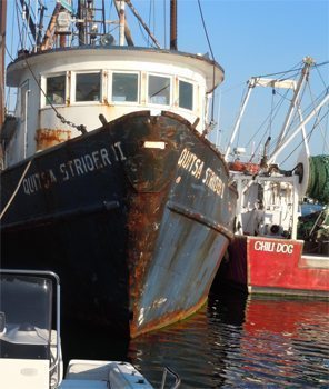 Martha's Vineyard, Massachusetts 12 Fishing boats at Menemsha's Dutcher's Dock. photo by Mary Gilman.