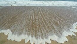 montauk-wave