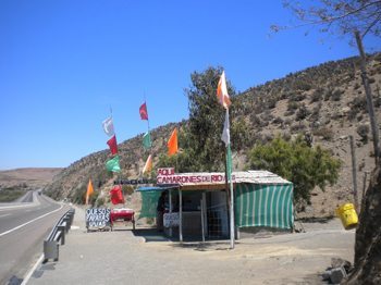 Food stall along the Pan American Highway in Elqui Valley, Chile.