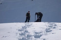 Snowshoeing at Mt Baker National Park.