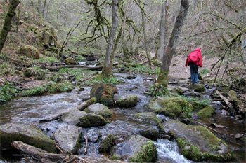 A Skeptic Pilgrim in France: Time Tunnels and Wishing Wells 4 The walk took Downie through streams, woods and fields in France.