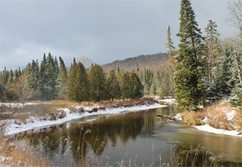 Adirondacks in Winter: North Country Fair 4 A stream in winter.