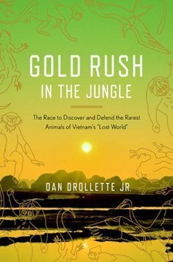 gold-rush-in-the-jungle