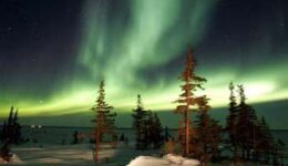 aurora