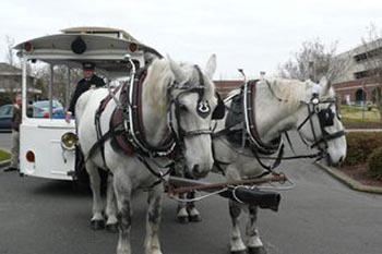 Wilmington, NC: Movie-Making Capital of the East historic-wilmington