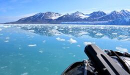 icy-waters