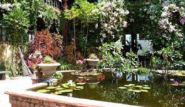 Puerto Vallarta Botanical Garden