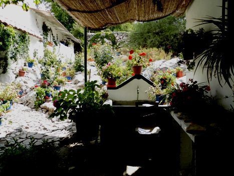 Alfarnatejo Spain: Great Country Eating 5 patio