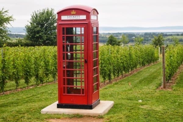 At Luckett Vineyards, you can use this phone booth to call anyone in the world.