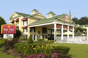 What to Do, Where to Stay in Pigeon Forge TN 9 Woaktree1