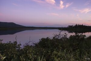 Newfoundland: Hiking the Rocks jocks-pond-twilight