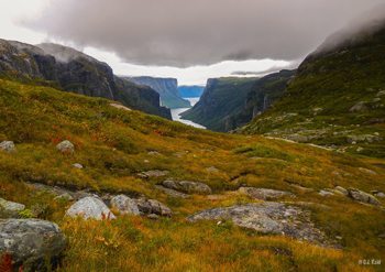 Dramatic fall colors in Western Newfoundland. CJ Reid photos.