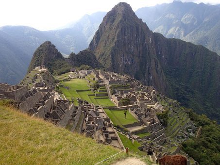 Peru's Sacred Valley Photo Gallery 4 A lone alpaca at Machu Picchu.