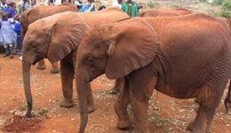 nairobi-kenya
