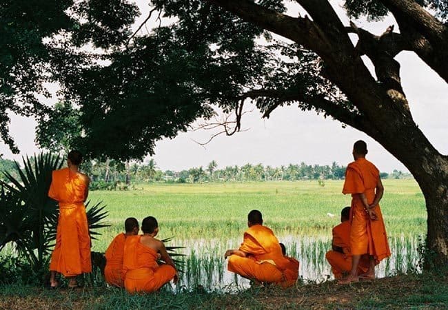 Monks at a rice paddy. Bill Reyland photo.