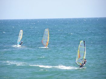 Windsurfing in Brighton.