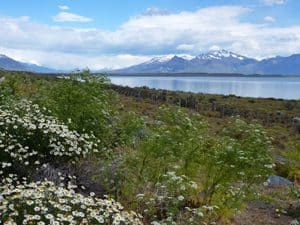 Torres del Paine and Other Delights on a Road Trip 8 Scene from the road driving to Perito Moreno Glacier.