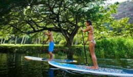standup-paddling