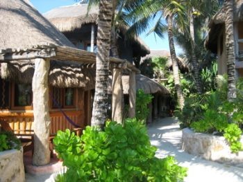 Outside the hotel in Tulum, cages filled with turtles await.