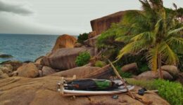 paddleboat-on-shore
