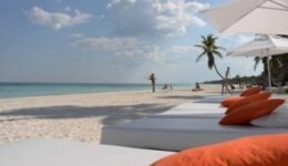 More and more tourists are discovering Tulum, making the lives and survival of the turtles more difficult.