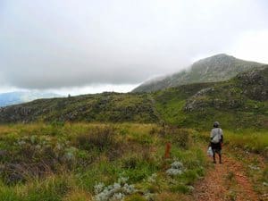 Malawi: Climbing the Biggest Mountain 2 John takes it all in as we have the path and, it seems, the mountain to ourselves on top of the plateau. Matthew Sterne photos.