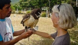 Jose Percillio holds one of his birds of prey at the falcon park in Northeast Brazil. photos by Coen Wubbels.