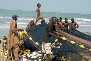 Fisherman in Senegal. Carin Tegner photo.
