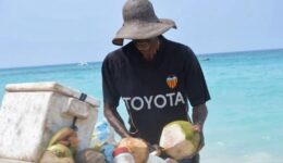 Local Vendor