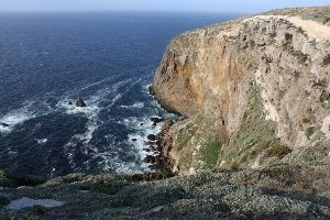 Cliffs in Potato Harbor, Santa Cruz.