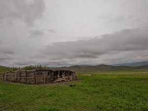 A herders day camp