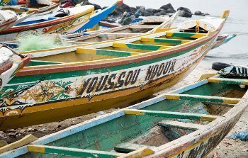 Pirogues in Senegal. photos by Carin Tegner