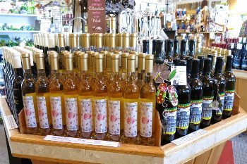 Montezuma Winery