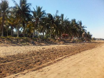 Muscat, Oman: Five Finest Features 7 City centre beach sand.